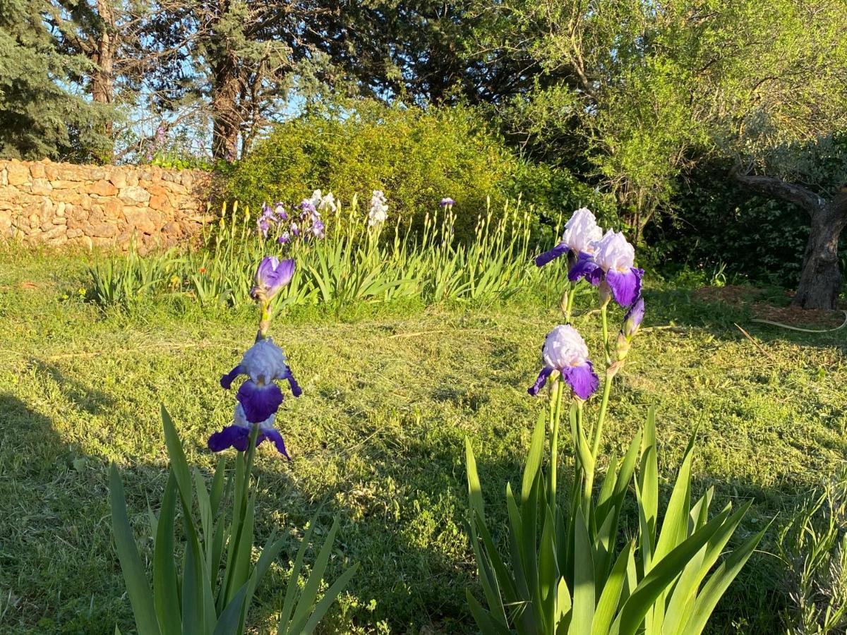 Villa Faro Provence Var Montfort-sur-Argens Ngoại thất bức ảnh
