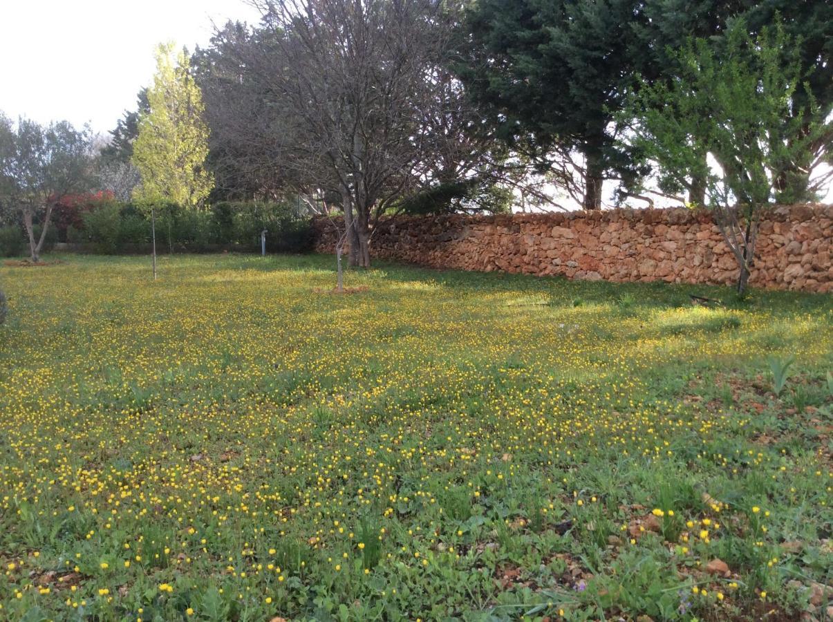 Villa Faro Provence Var Montfort-sur-Argens Ngoại thất bức ảnh